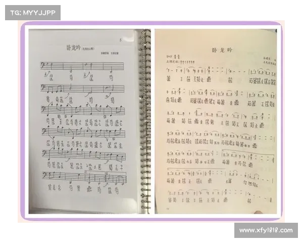 卧龙吟英雄谱深度解析与历史背后的秘密与传奇 卧龙吟英雄谱深度解析与历史背后的秘密与传奇