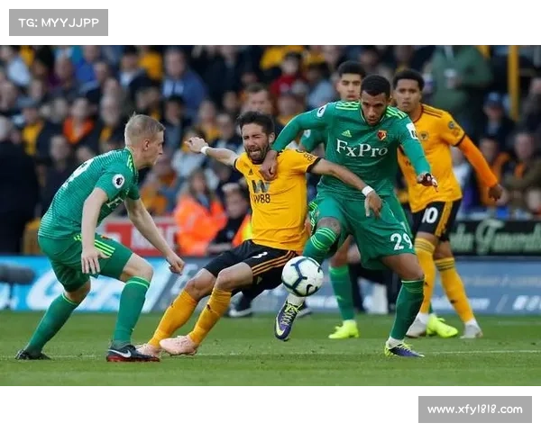 如何提升观看英足总杯的观赛体验与娱乐享受