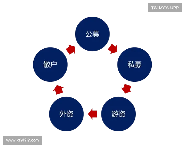 提升外资信心的十项最佳实践与战略建议